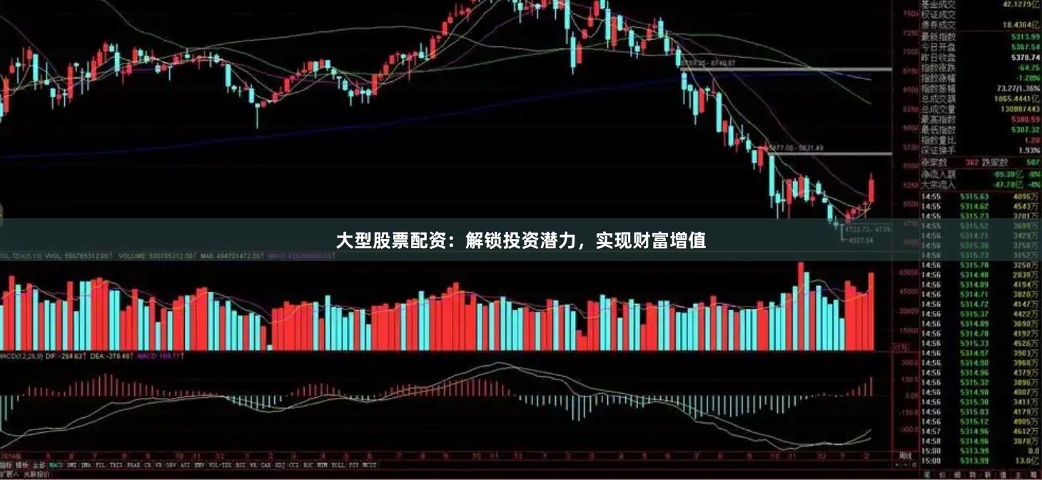 大型股票配资：解锁投资潜力，实现财富增值