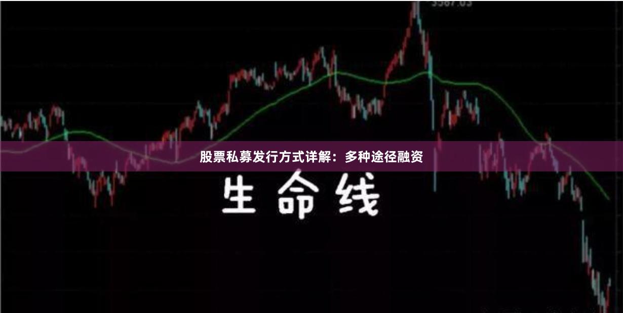 股票私募发行方式详解：多种途径融资