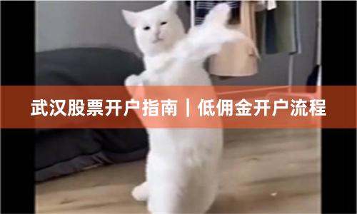 武汉股票开户指南｜低佣金开户流程