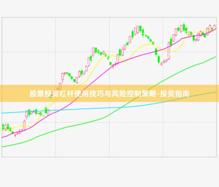 股票投资杠杆使用技巧与风险控制策略-投资指南